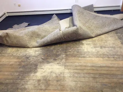 Rudder Horn