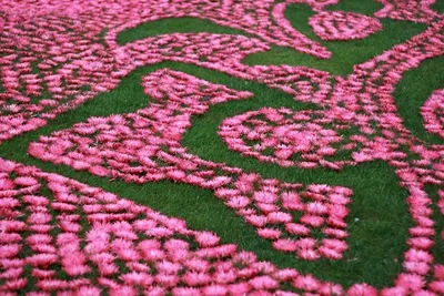 Hand Knotted Wool & Bamboo Silk Rugs
