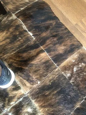 Cow Hide Rugs