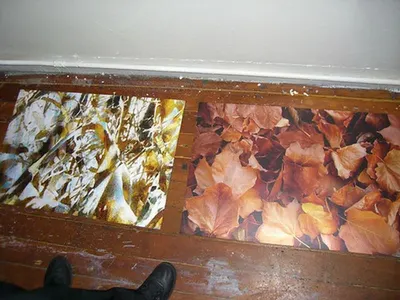 Oil paintings from photo