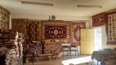 Winter Rugs
