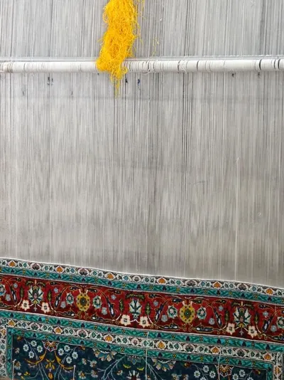 PVC curtain