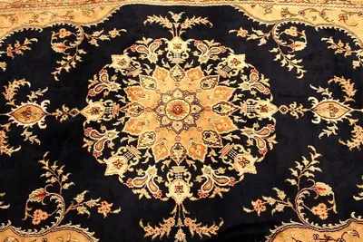 Home Office Sunflower Traditional Area Rug by Venn Design