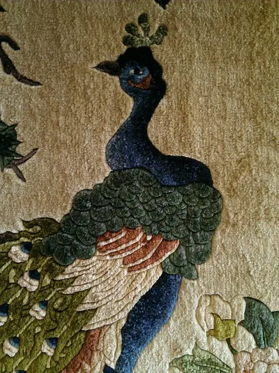 Home Peacock Kids Carpet by Venn Design