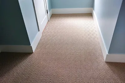 Shiny carpets