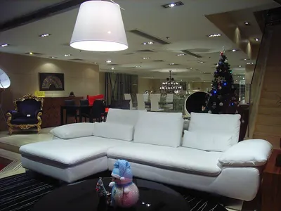 China Wohnzimmer Ledersofas
