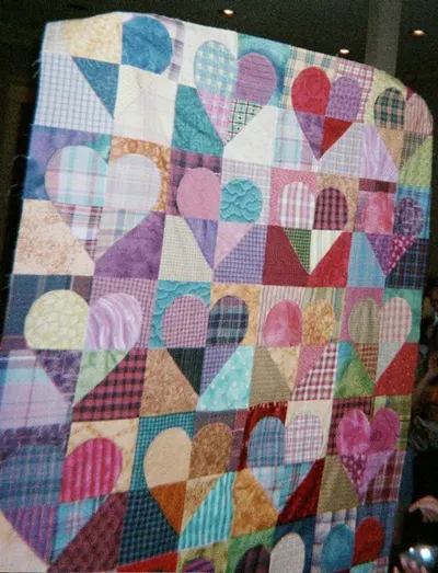 Quilt/ Comforter
