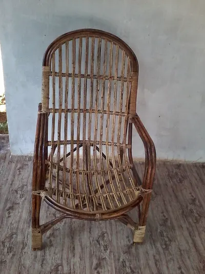 Mango Dinning Chair