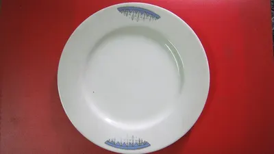 10 Inch Plate