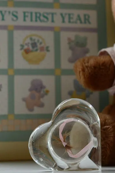 teddy