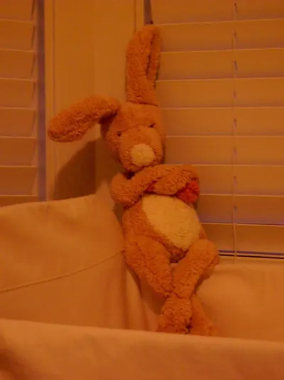 Pooh Bear