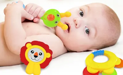 Bath toys