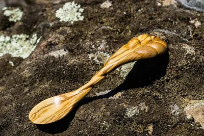 Wooden ice-cream spoon