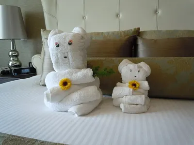 Hot sell giant teddy bear with bowknot big teddy
