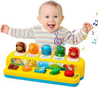Interactive learning toys - Healthy Eating