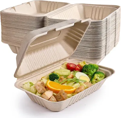 Sugarcane Bagasse Platea by Rock Electricals Pvt. Ltd.