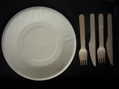 Areca Plate Round