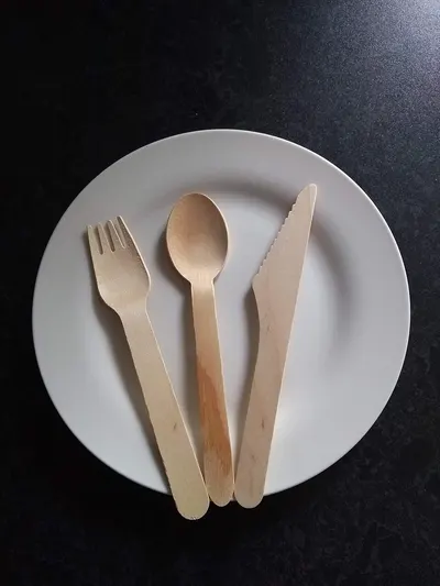 cheap cutlery PP handle cutlery y