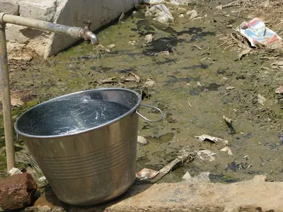 Gardening buckets by Qingdao Allez Plastic Industry Co., Ltd