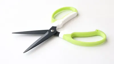 DAESUNG  Kitchen Shears (9.8'' Kitchen Scissors)