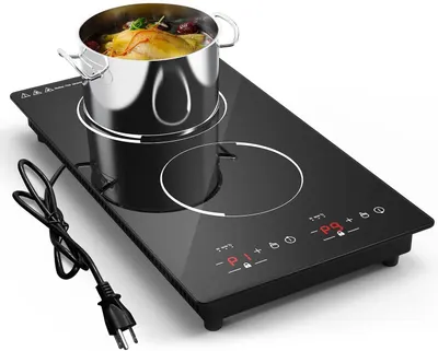 Induction cooker