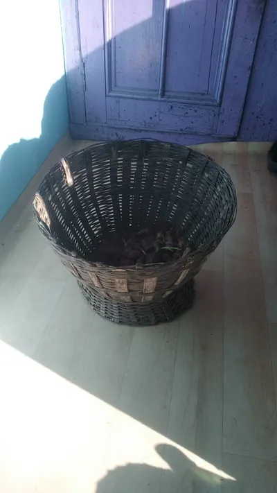 Basket