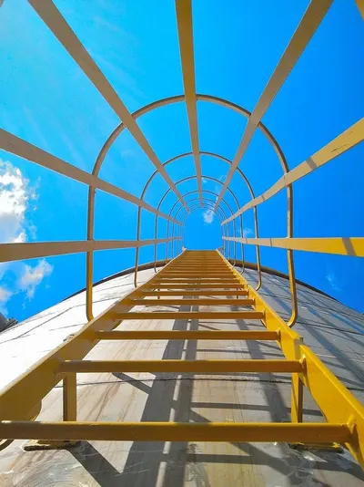 Round Rung Ladder by Garg Sports International