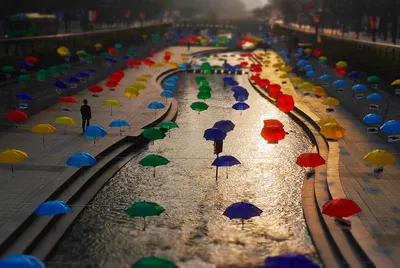 Beach umbrellas