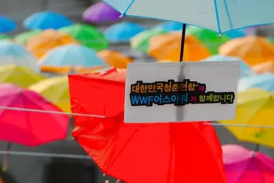 Auto straight umbrella