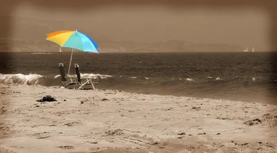 Iwt Series Umbrella by Hapicube