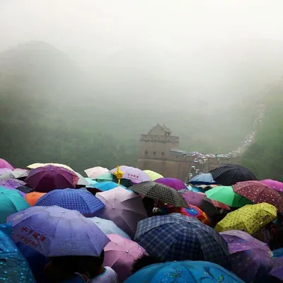 Umbrella by Unee Umbrella Co., Ltd.