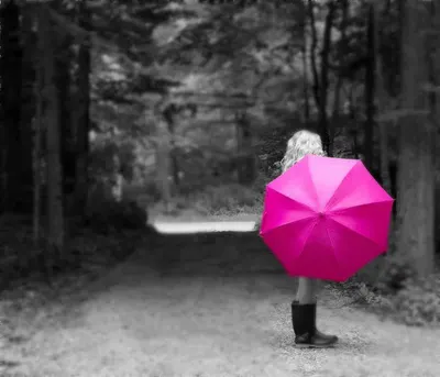 Two folding umbrella