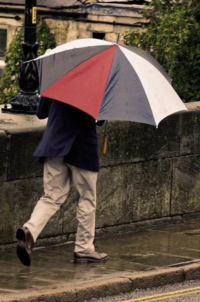 Hand Embroided 2 Fold Umbrells