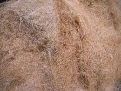 Dehaired pure mongolia cashmere fibre