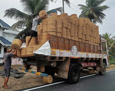 Coconut Fiber