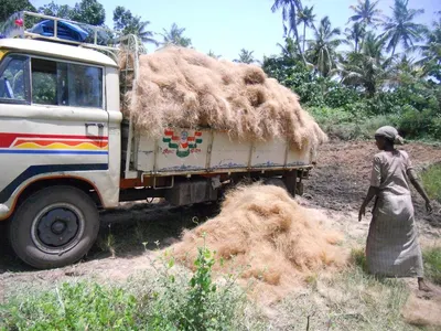 Coconut Fiber