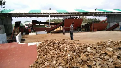 Wood Chips Dryer