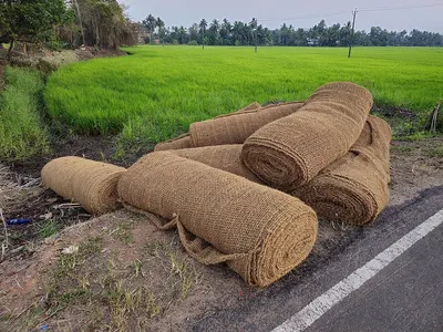 Coir Disc
