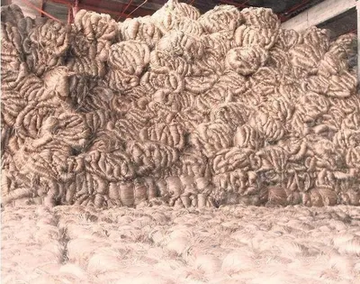 Stone Wool Shack