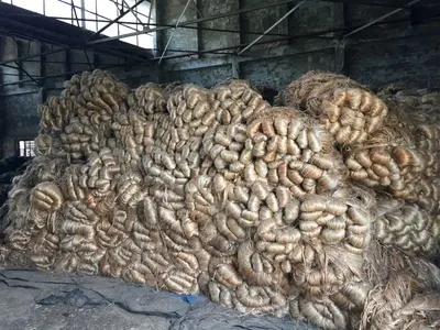 Vietnam Wood pellets - CAM