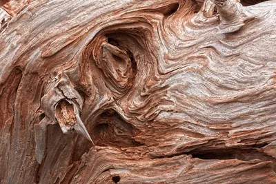 Wood