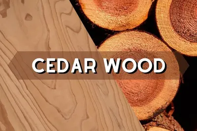 Wood sunglasses