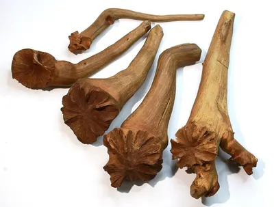 Hand-made carved wooden root fruit platters