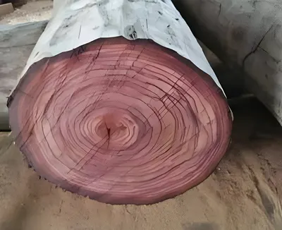 Sandalwood Logs Red
