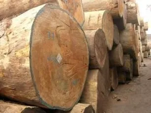 Teak Wood (Grade A)