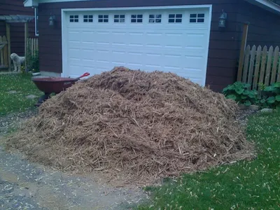 Mulch Film