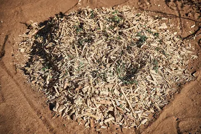 Busby eucalyptus mulch by Busby Oils Natal (PTY) Ltd.