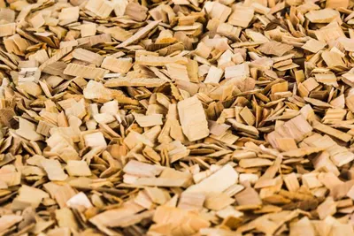 Wood chip