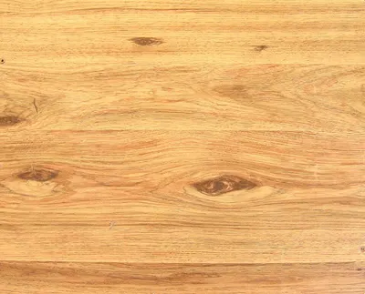 HG Valsadi Teak
