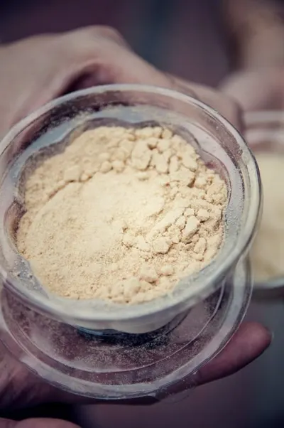 Casein Protein